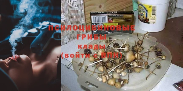 эйфоретик Касимов