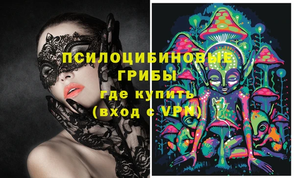 эйфоретик Касимов