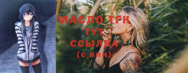 МДПВ Карпинск