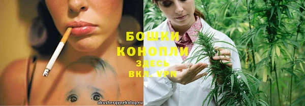 эйфоретик Касимов